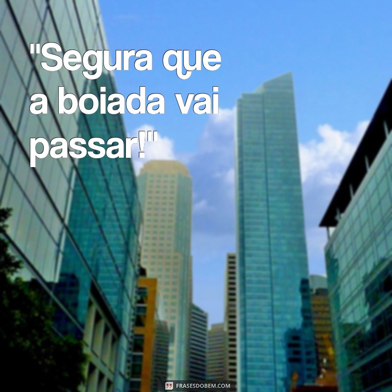 frases boiadeiro 