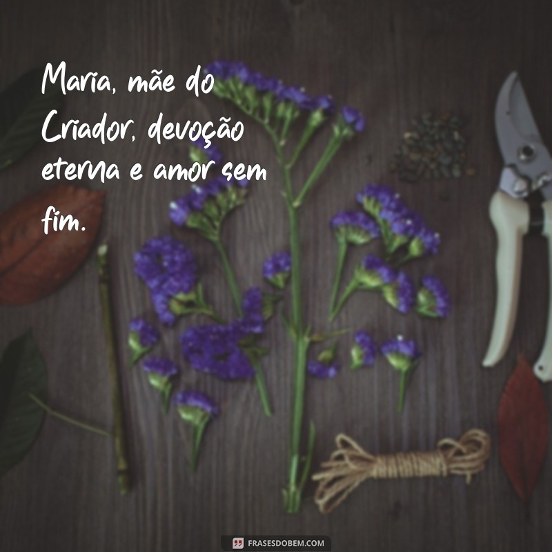 Frases Inspiradoras de Nossa Senhora Aparecida na Bíblia 