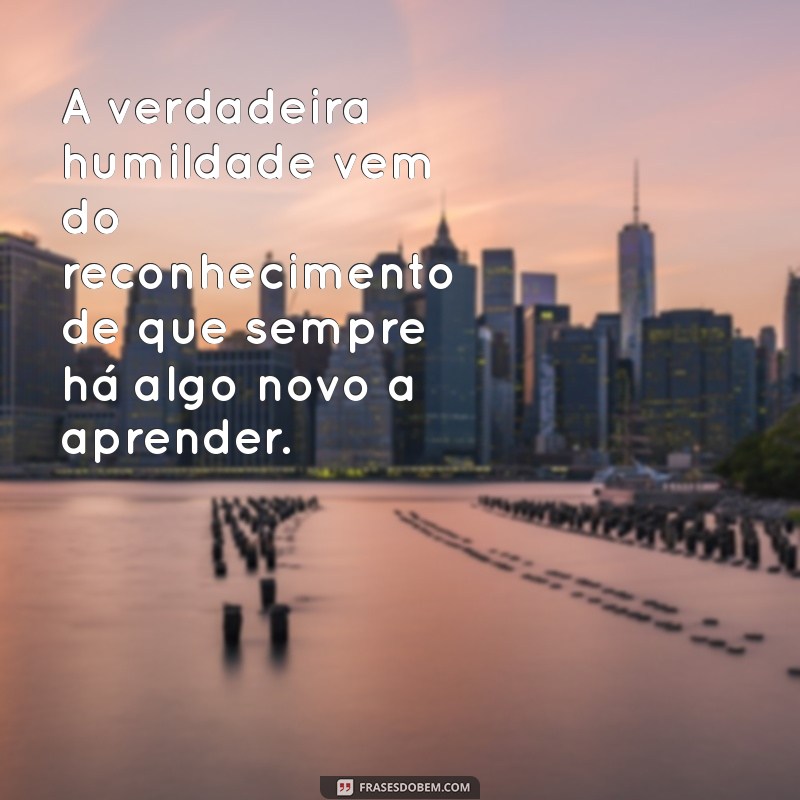 modestia A verdadeira humildade vem do reconhecimento de que sempre há algo novo a aprender.