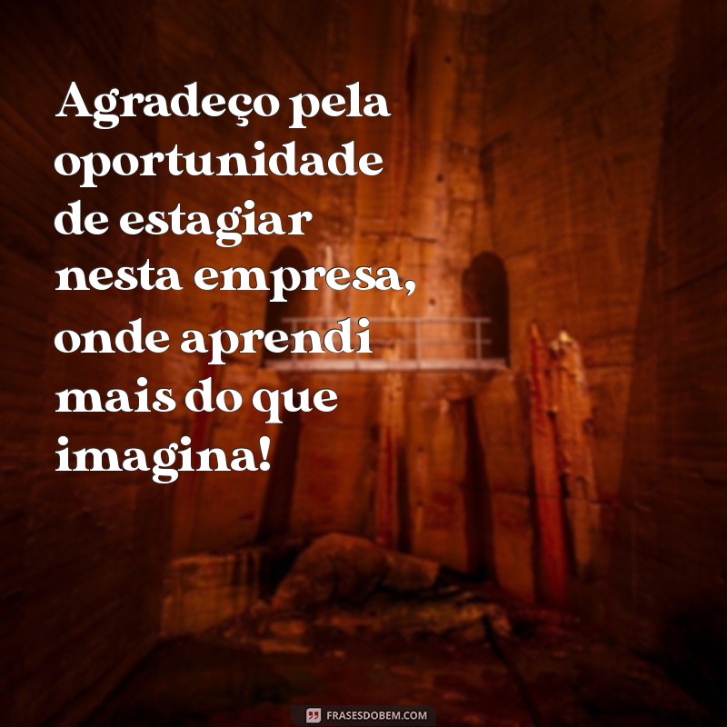 mensagem de agradecimento pelo estagio Agradeço pela oportunidade de estagiar nesta empresa, onde aprendi mais do que imagina!