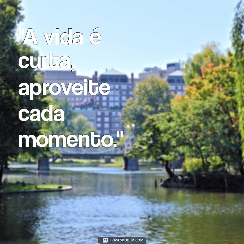 frases colocar em foto 