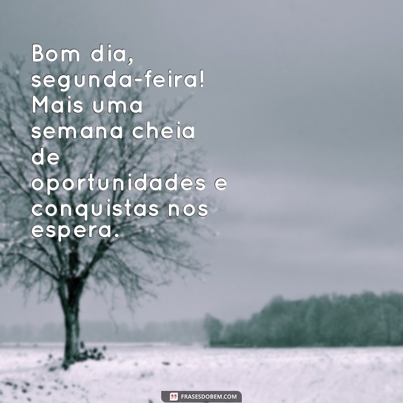 frases bom dia segunda feira para whatsapp Bom dia, segunda-feira! Mais uma semana cheia de oportunidades e conquistas nos espera.