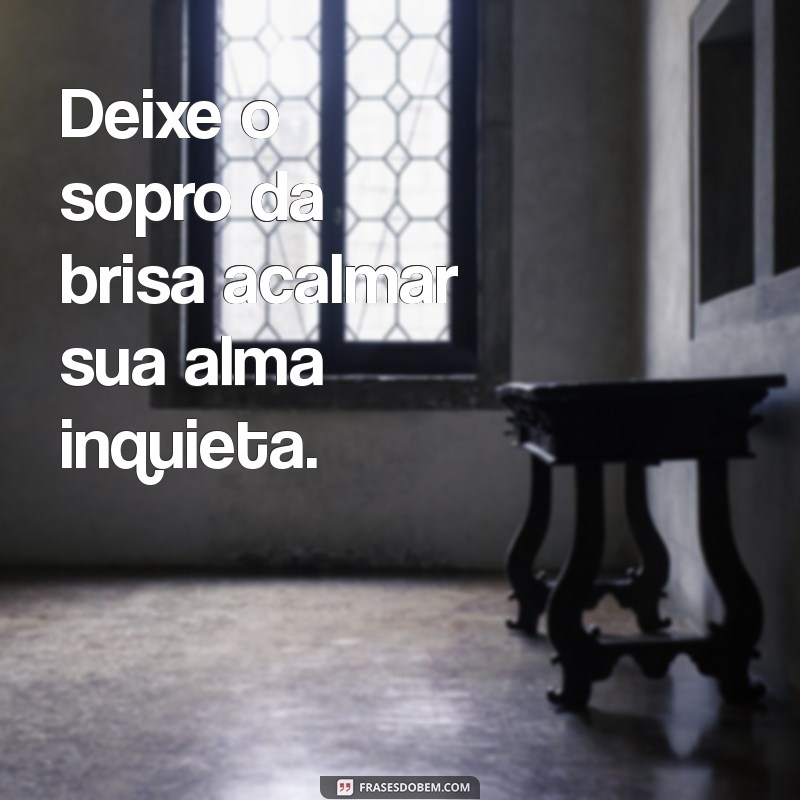 frases acalma seu coração Deixe o sopro da brisa acalmar sua alma inquieta.