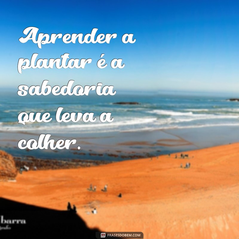 Descubra o Momento Certo: Quando Plantar e Colher para uma Colheita Abundante 