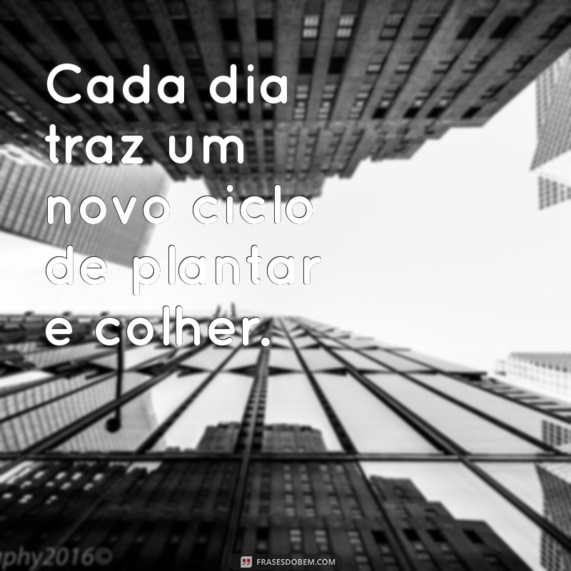 tempo para plantar e tempo para colher Cada dia traz um novo ciclo de plantar e colher.