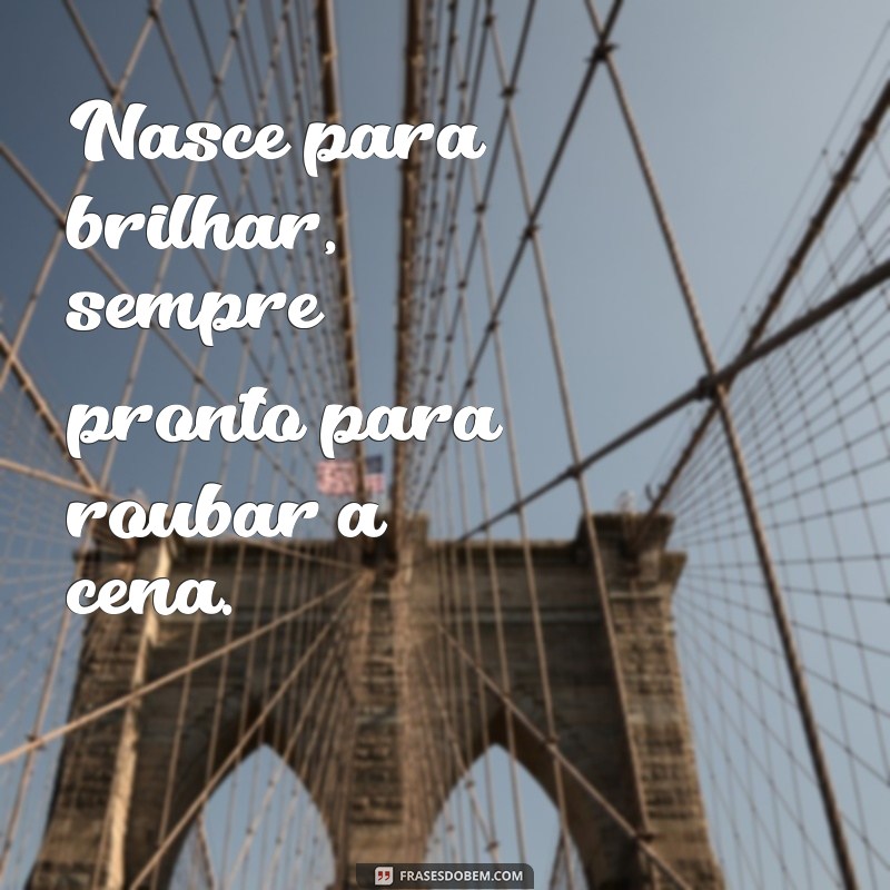 signos leão personalidade Nasce para brilhar, sempre pronto para roubar a cena.