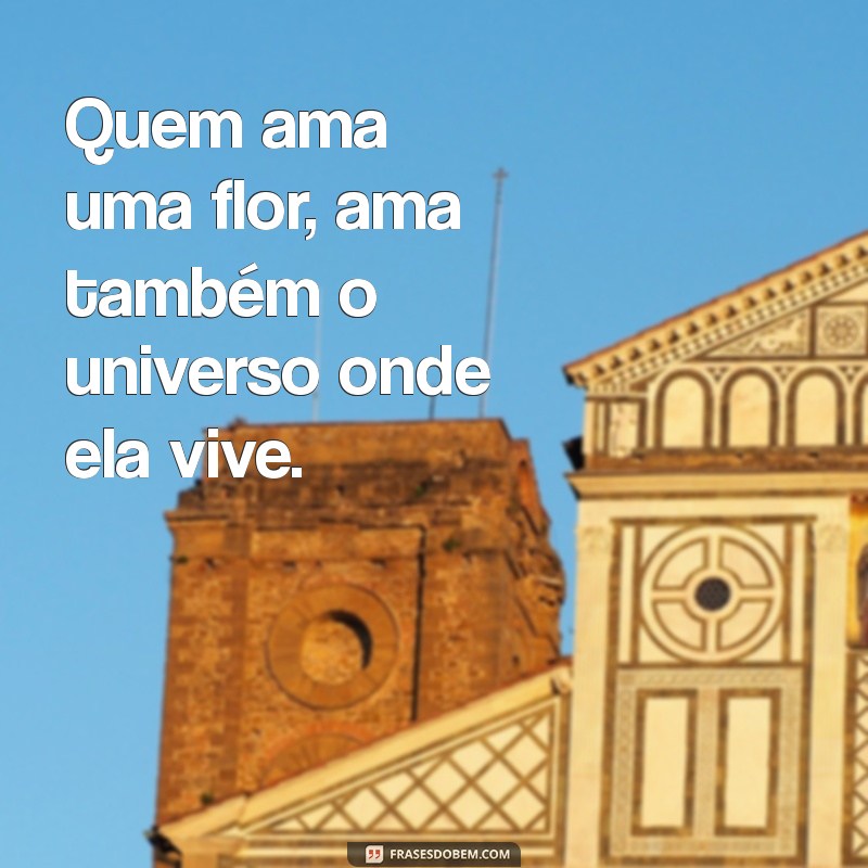 As Melhores Frases do Pequeno Príncipe para Inspirar e Refletir 