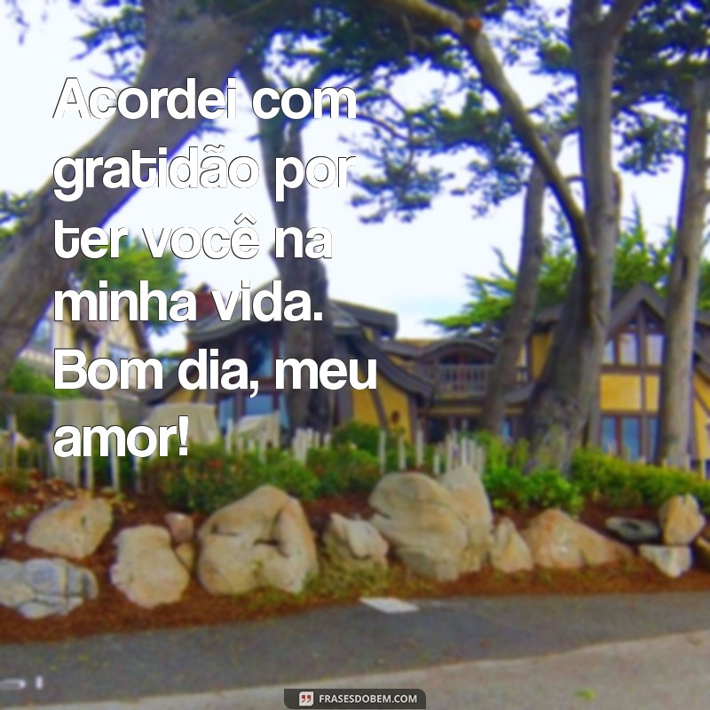 Mensagens de Bom Dia para Encantar o Seu Amor 