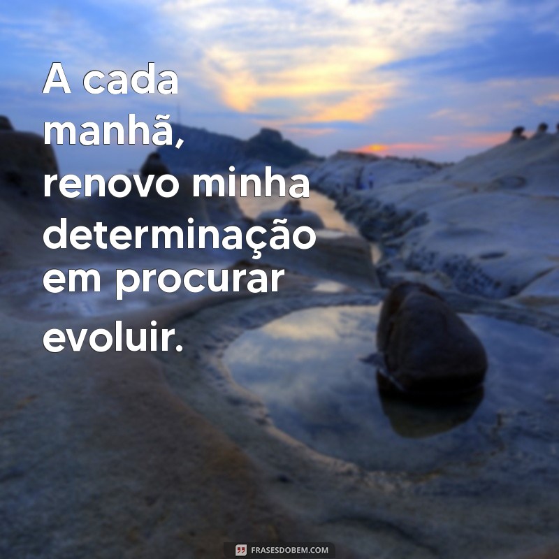 procurando evoluir A cada manhã, renovo minha determinação em procurar evoluir.