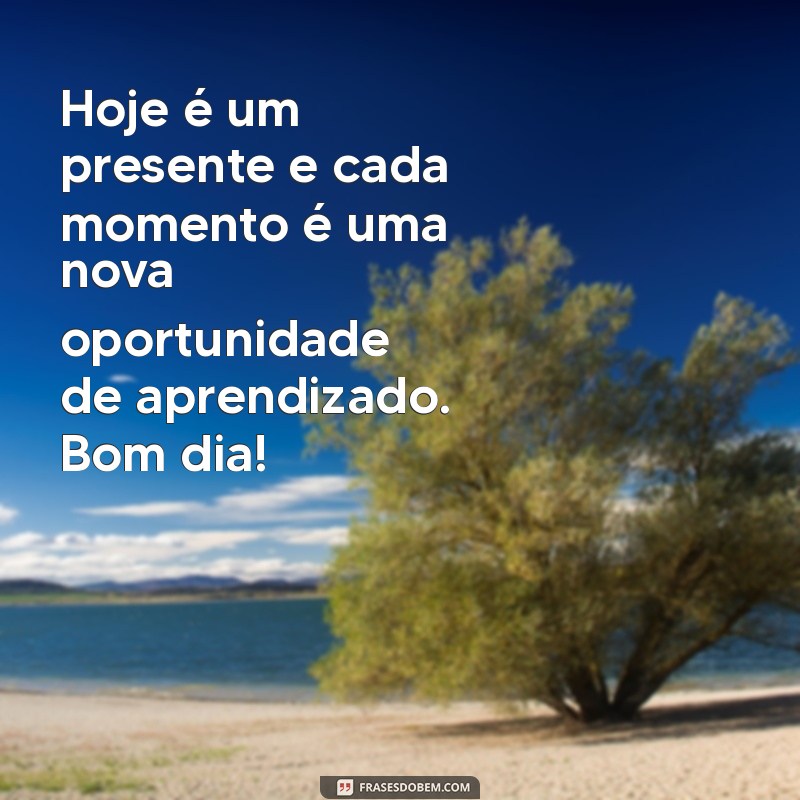 Comece Seu Dia com Motivação e Sabedoria: Frases Inspiradoras 