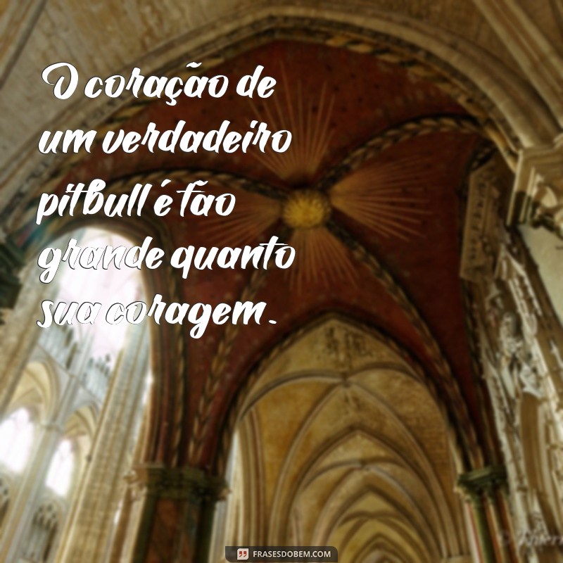 Desvendando o Verdadeiro Pitbull: Mitos e Realidades 