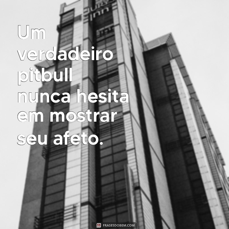 Desvendando o Verdadeiro Pitbull: Mitos e Realidades 