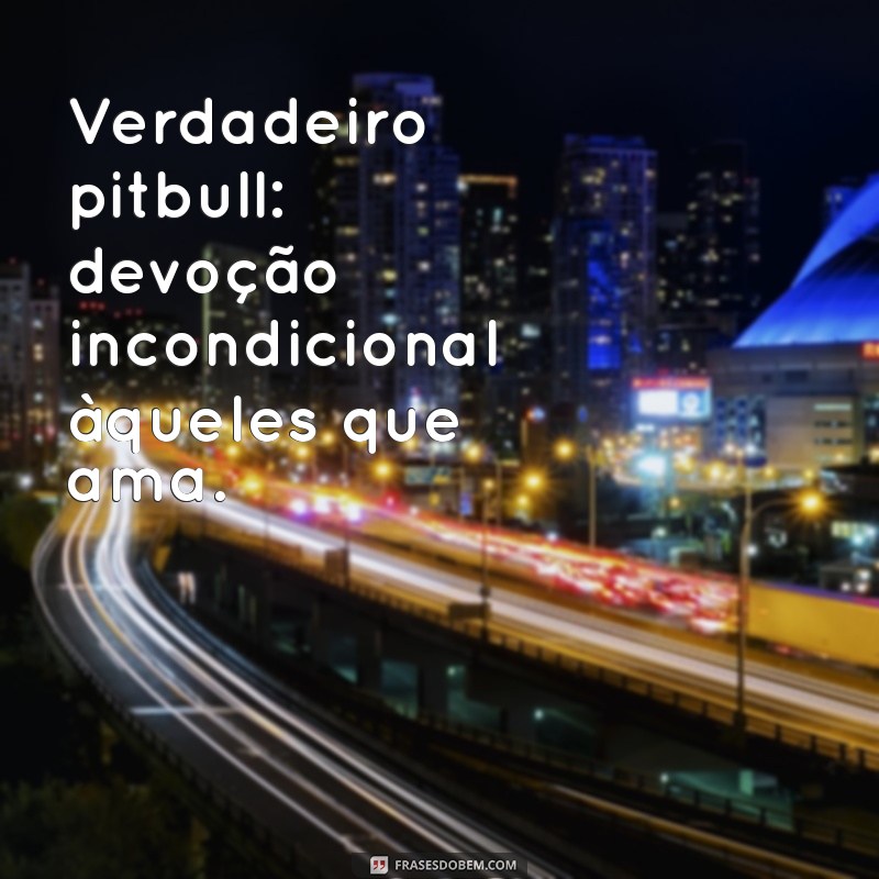 Desvendando o Verdadeiro Pitbull: Mitos e Realidades 