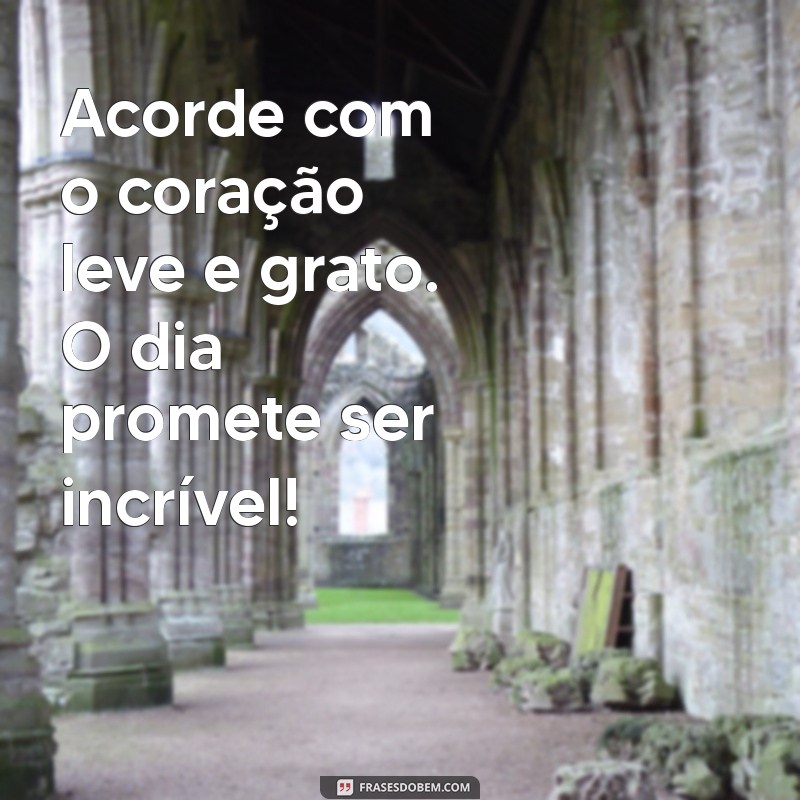 Bom Dia com Gratidão: Frases Inspiradoras para Começar o Dia 