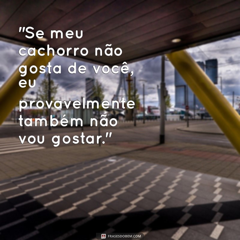 frases engraçadas com cachorro 