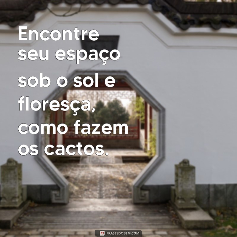 Frases Inspiradoras com Cactos: Sabedoria e Resiliência em Palavras 