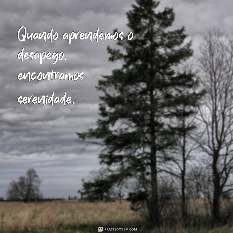 Desapego: Entenda o Significado e Como Praticá-lo na Sua Vida 