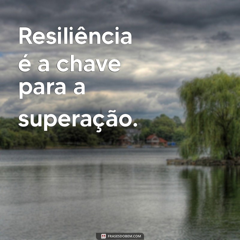 Frases Motivacionais para Inspirar Sua Luta Diária 