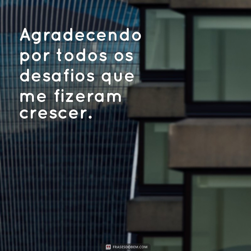 Descubra as Melhores Frases de Gratidão para Celebrar e Agradecer a Si Mesmo 