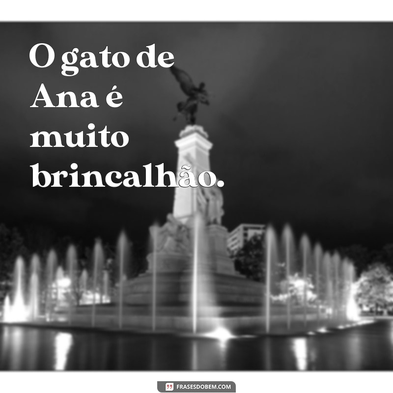 Melhore sua escrita com exercícios de frases, oração e período 