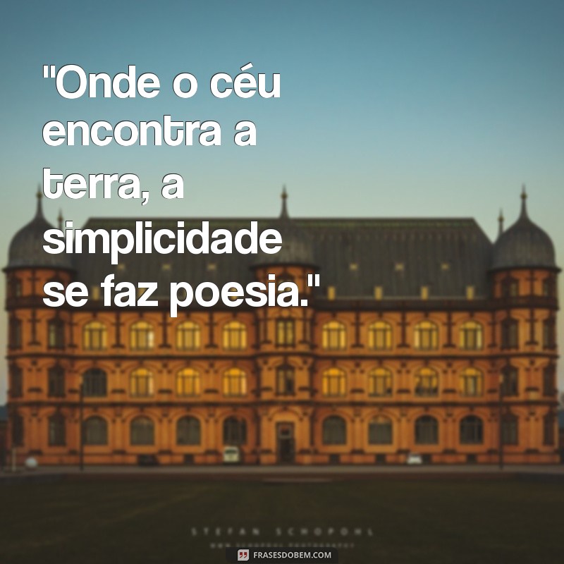 frases para fotos na roça 