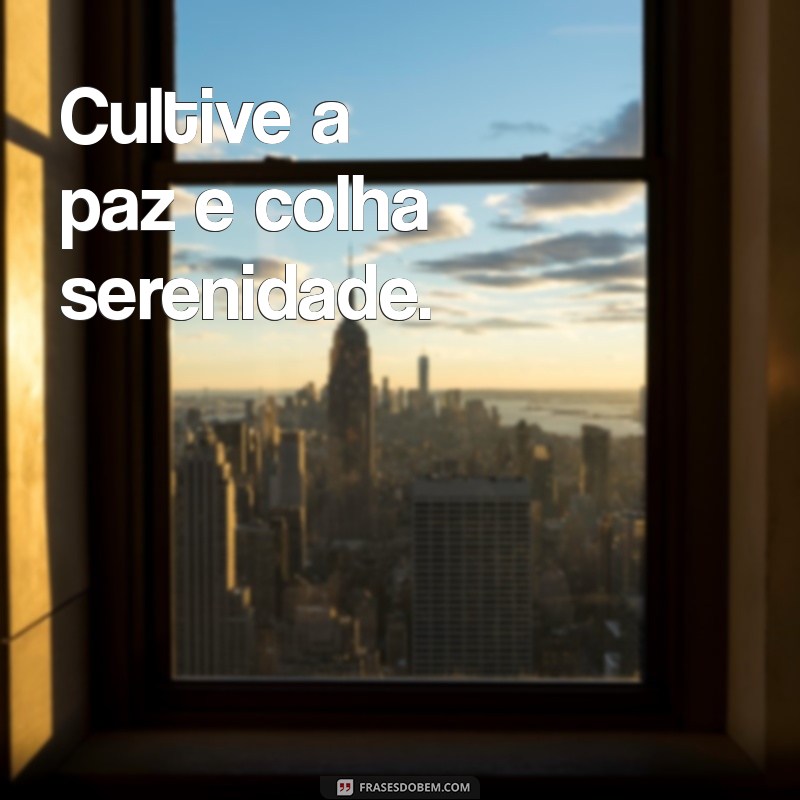 Frases Curtas e Inspiradoras sobre Paz para Reflexão 