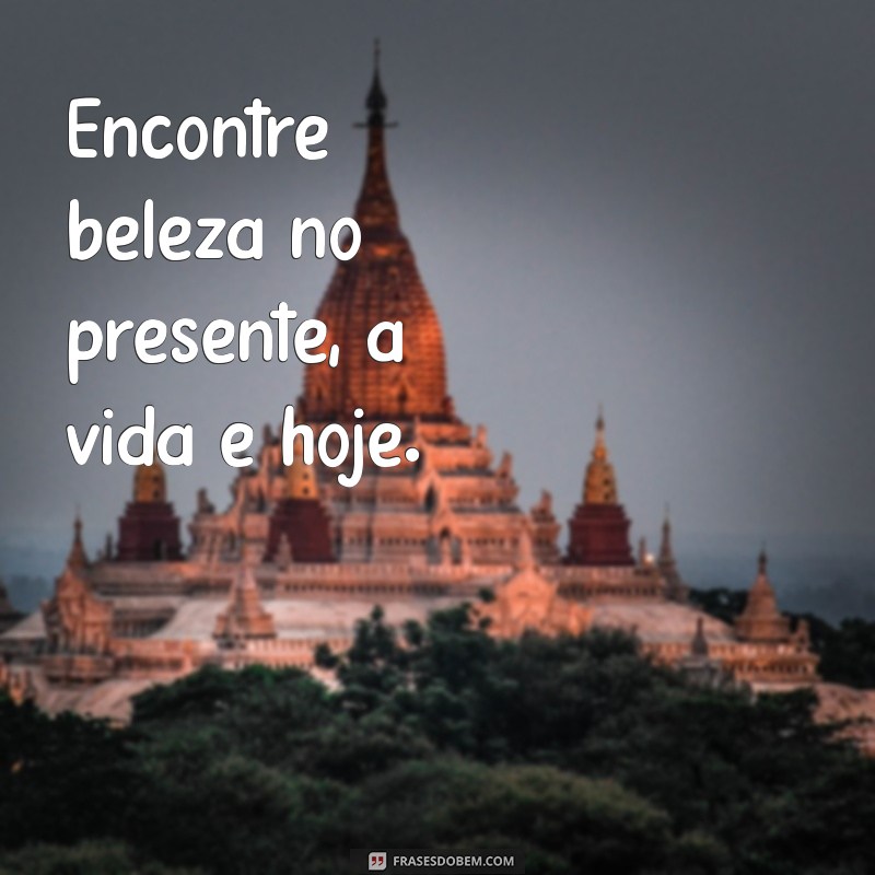 Frases Inspiradoras para Viver o Presente: A Vida é Hoje 