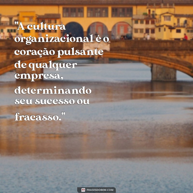 frases sobre cultura organizacional 