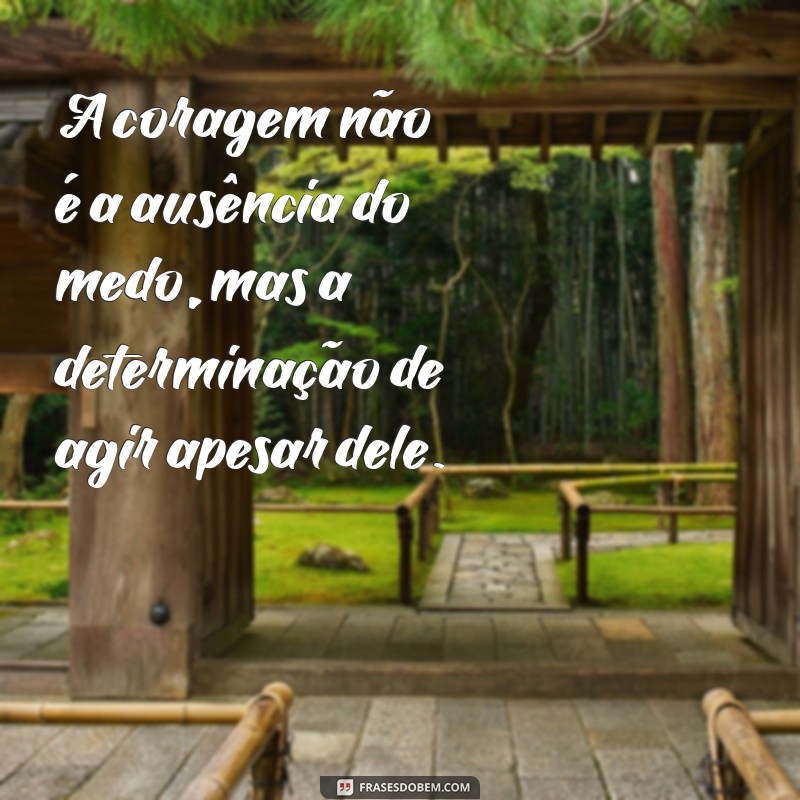 frases de coragem A coragem não é a ausência do medo, mas a determinação de agir apesar dele.