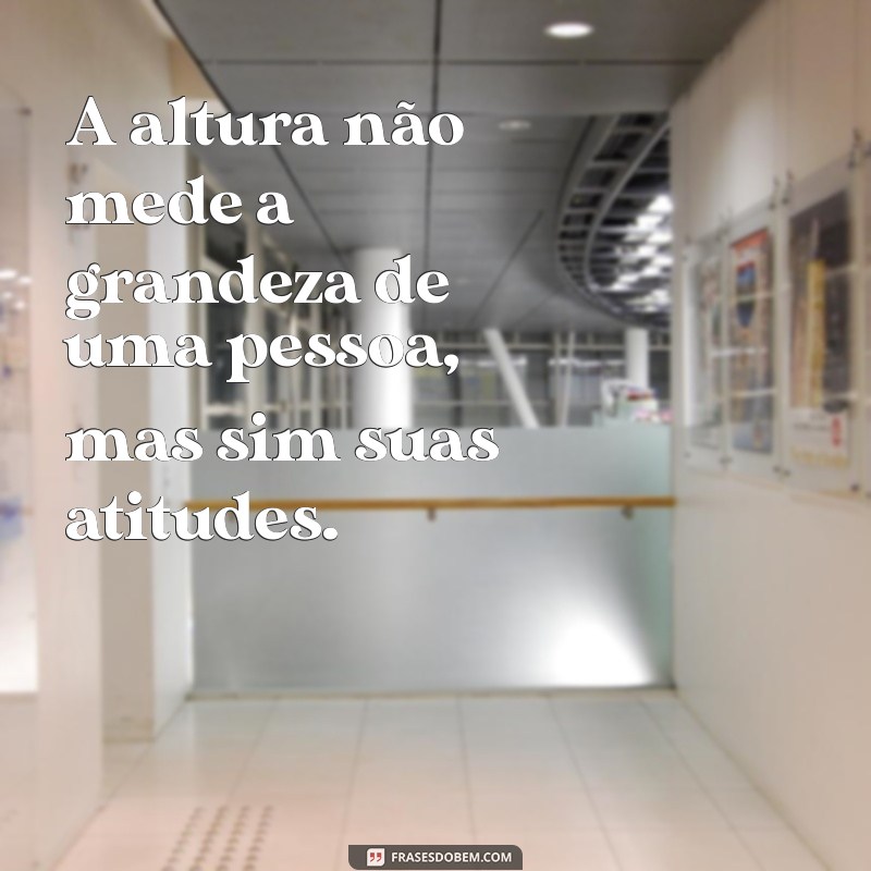 frases sobre altura A altura não mede a grandeza de uma pessoa, mas sim suas atitudes.