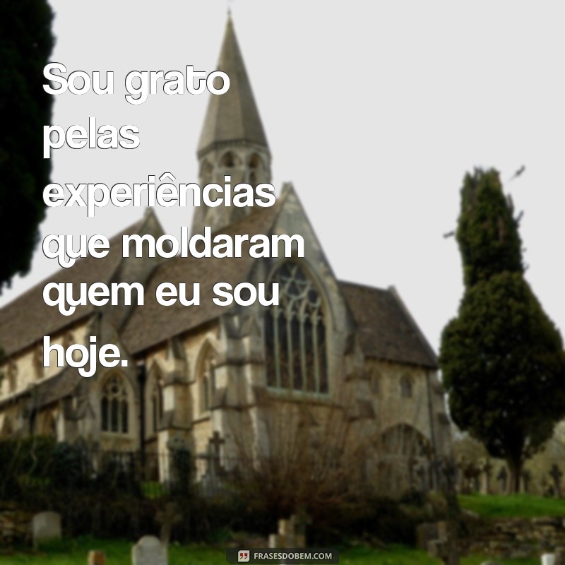 Descubra as melhores frases de gratidão curtas para expressar sua gratidão em poucas palavras 