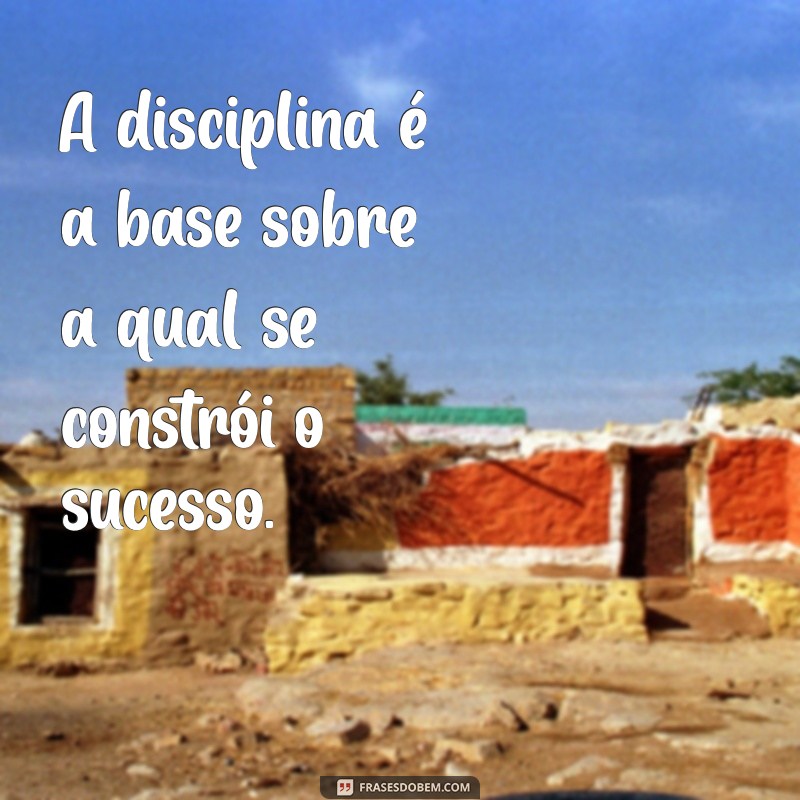 frases exercito A disciplina é a base sobre a qual se constrói o sucesso.