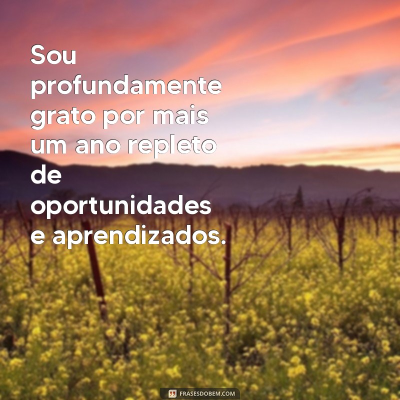 mensagens de gratidão por mais um ano de vida Sou profundamente grato por mais um ano repleto de oportunidades e aprendizados.