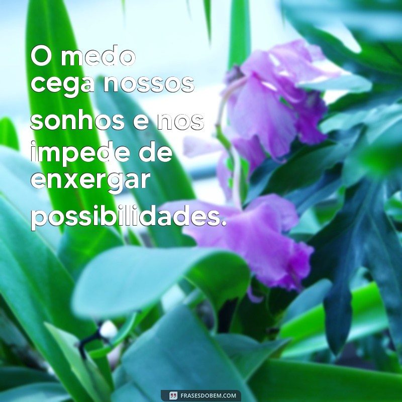 frases o medo cega os nossos sonhos O medo cega nossos sonhos e nos impede de enxergar possibilidades.