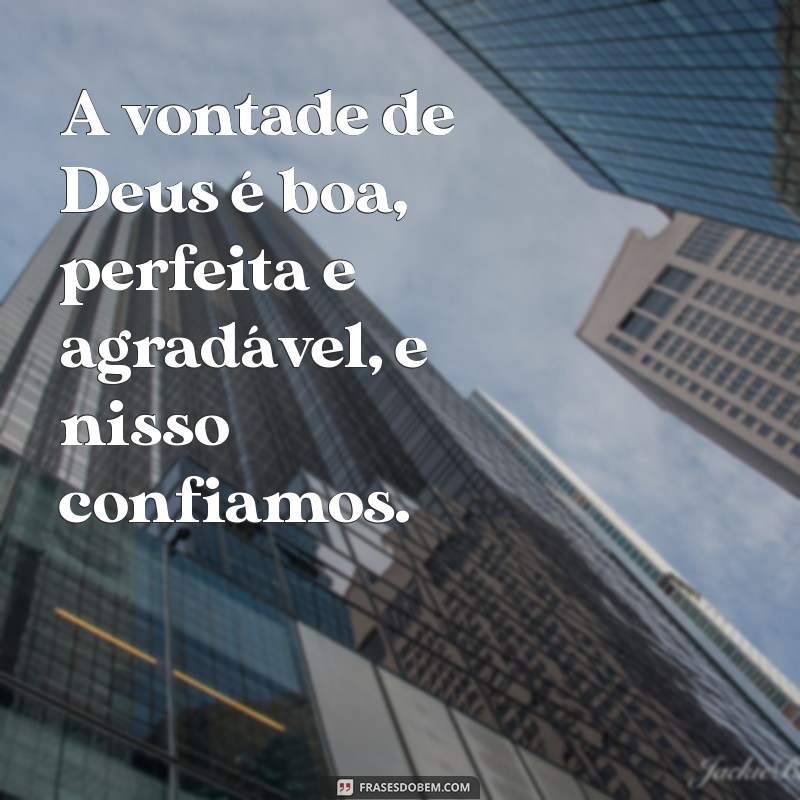 A Vontade de Deus: Descubra por que Ela é Boa, Perfeita e Agradável 