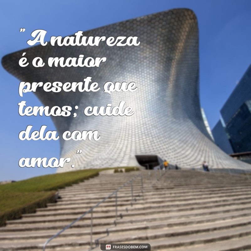 frases do meio ambiente 