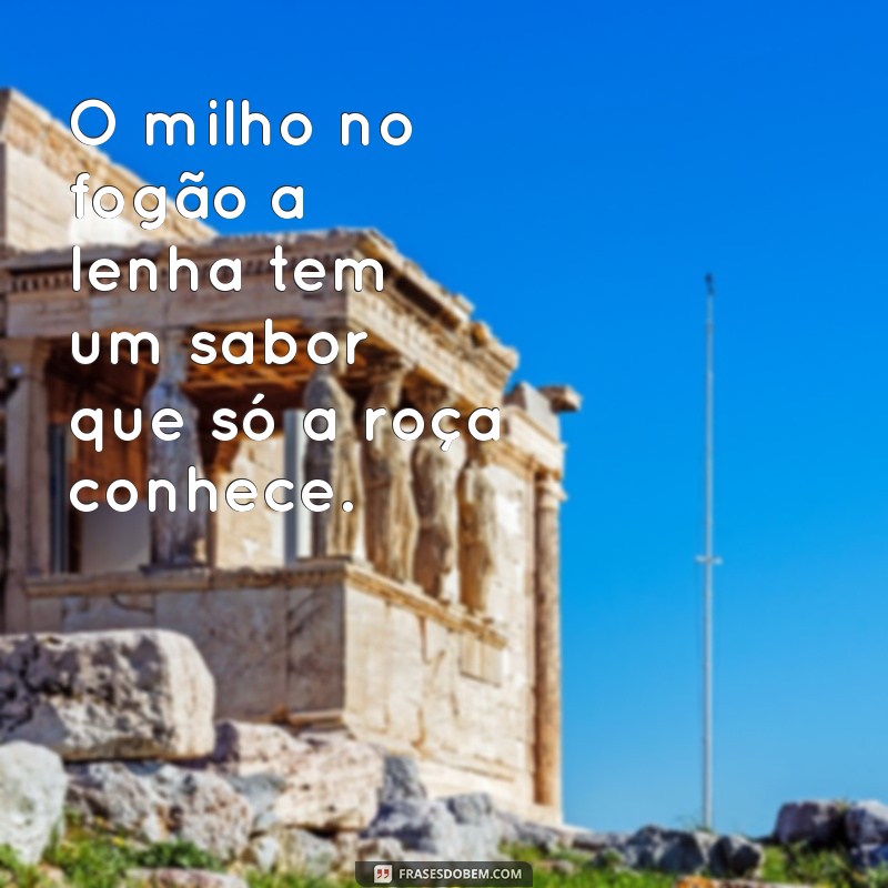 Frases Inspiradoras para a Vida na Roça: Sabedoria e Simplicidade do Campo 