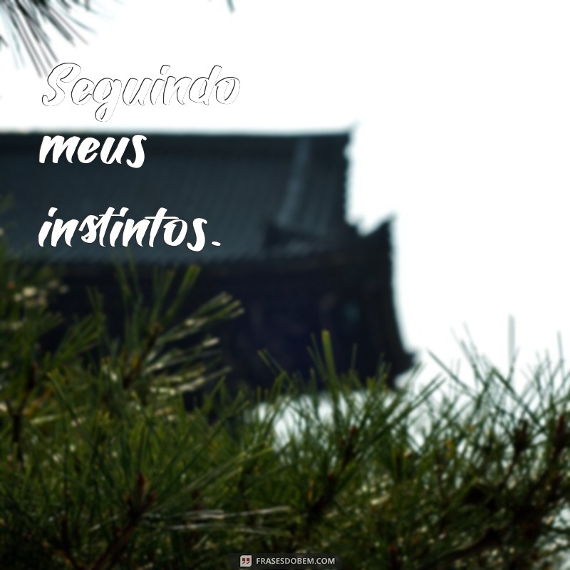 Melhores Frases para Bio do Instagram: Destaque-se com Criatividade 