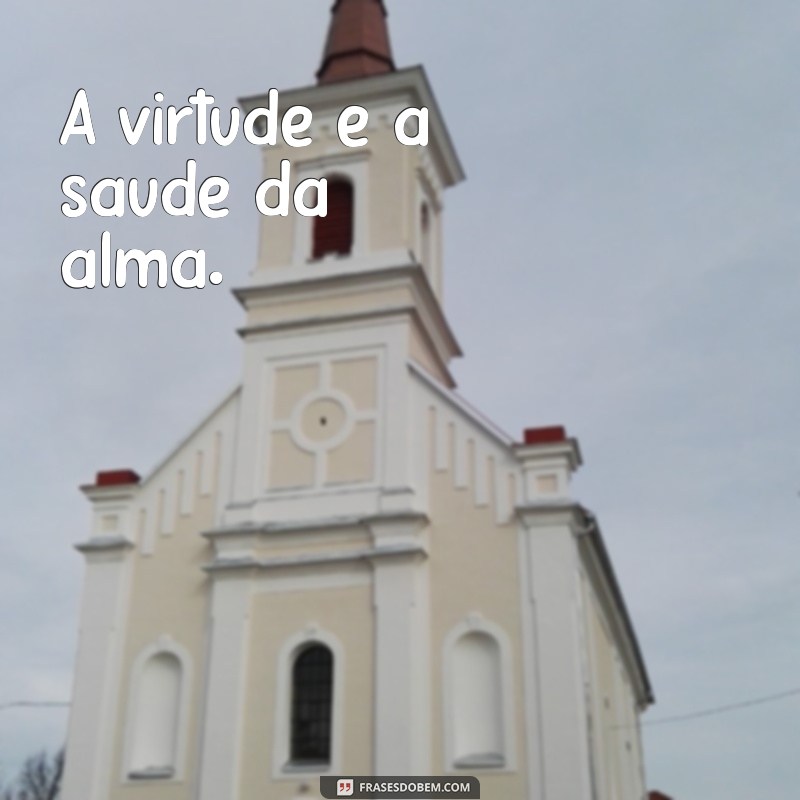 frases platão A virtude é a saúde da alma.