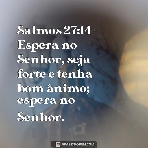 Esperando em Deus: Versículos Bíblicos Para Ajudar na Sua Fé Salmos 27:14 - Espera no Senhor, seja forte e tenha bom ânimo; espera no Senhor.