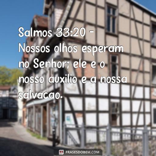 Esperando em Deus: Versículos Bíblicos Para Ajudar na Sua Fé Salmos 33:20 - Nossos olhos esperam no Senhor; ele é o nosso auxílio e a nossa salvação.