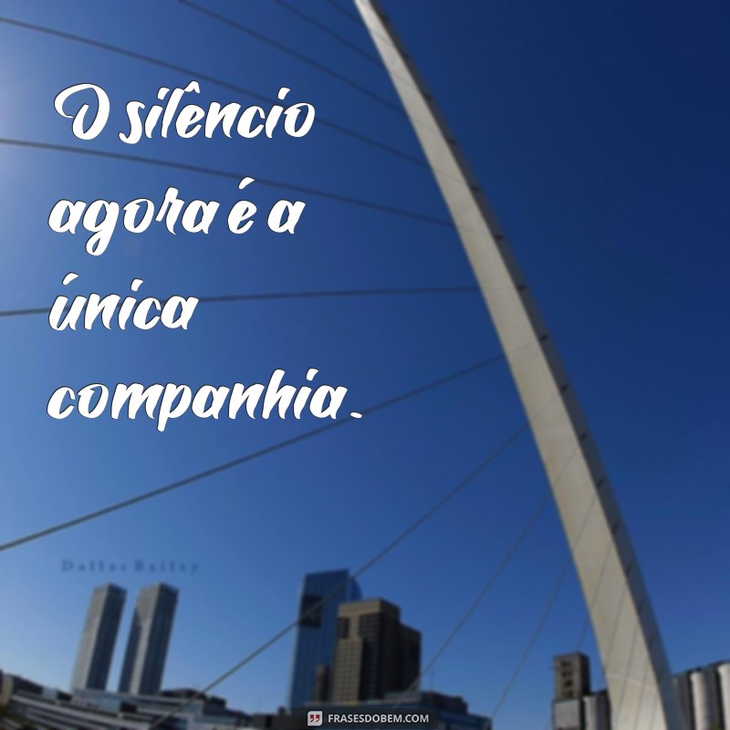 frases curta triste O silêncio agora é a única companhia.