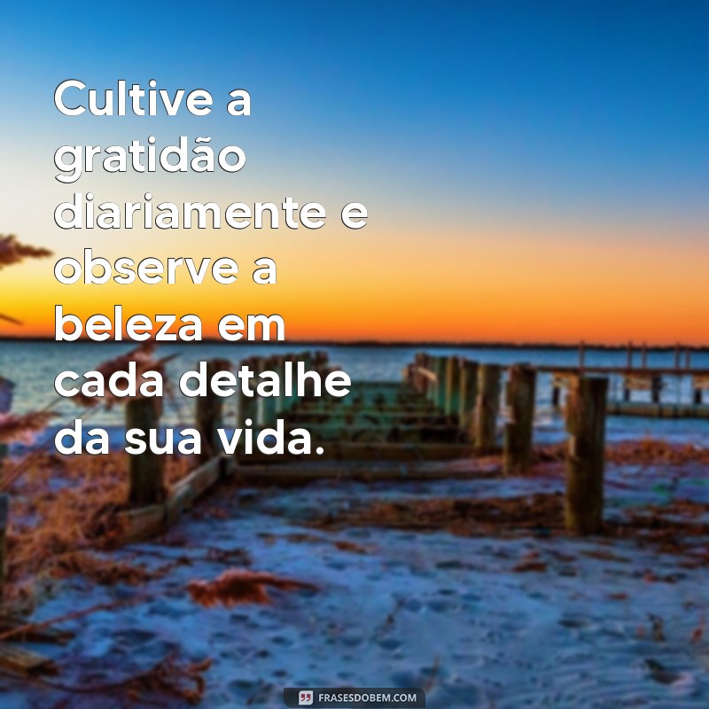 frases de bem estar consigo mesmo Cultive a gratidão diariamente e observe a beleza em cada detalhe da sua vida.