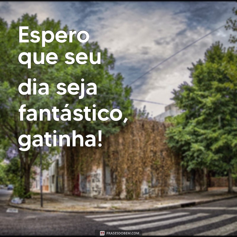 Frases Encantadoras de Bom Dia para Sua Gatinha 