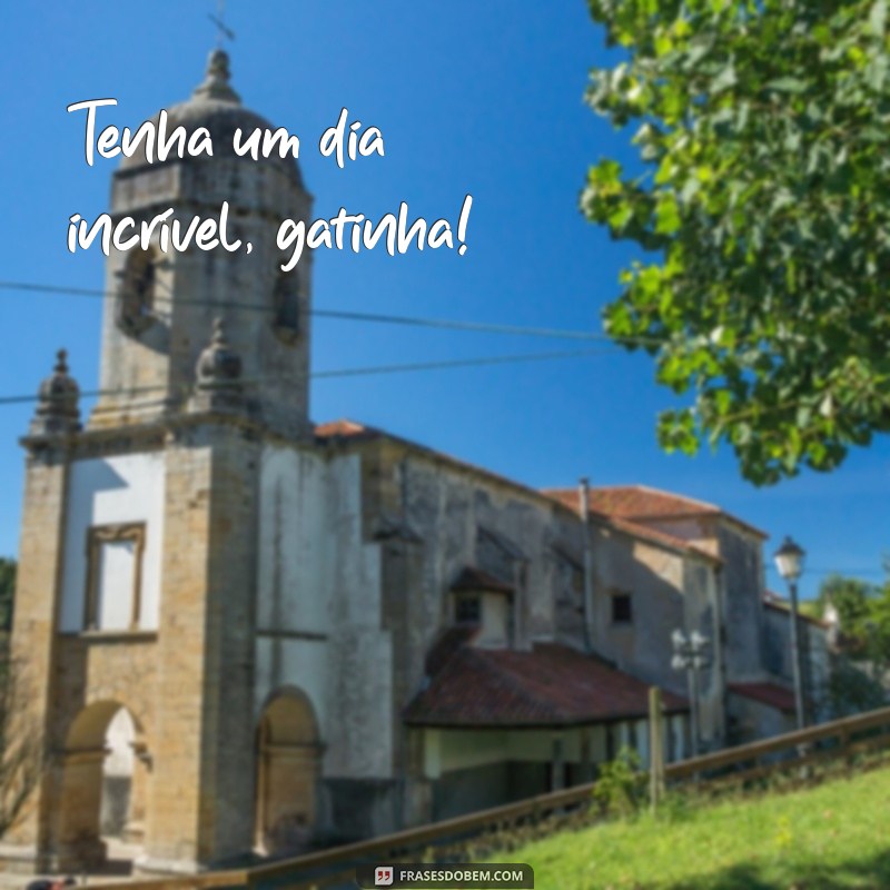 Frases Encantadoras de Bom Dia para Sua Gatinha 