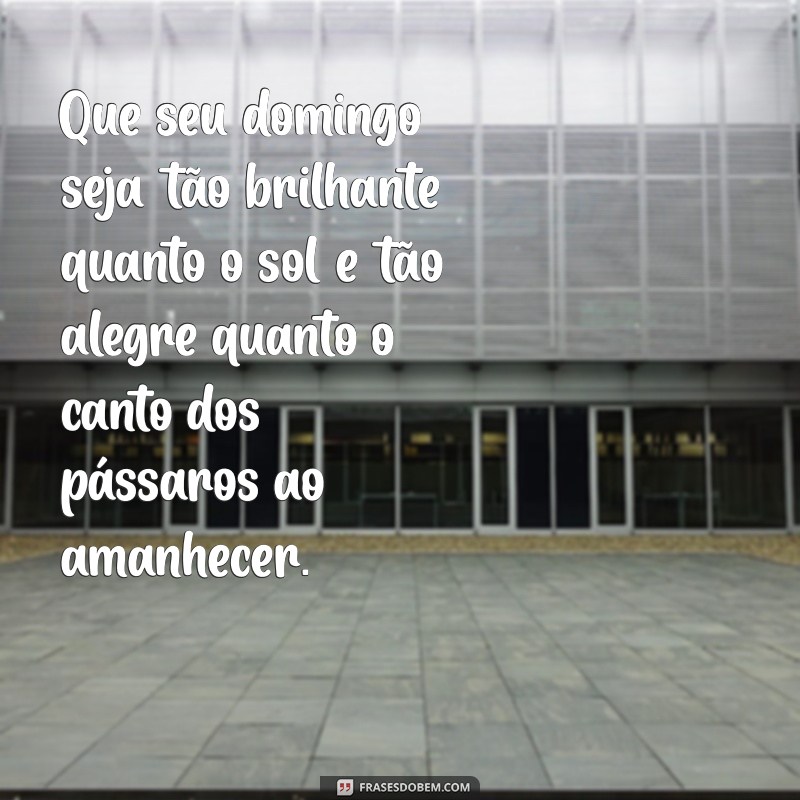 linda mensagem de feliz domingo Que seu domingo seja tão brilhante quanto o sol e tão alegre quanto o canto dos pássaros ao amanhecer.