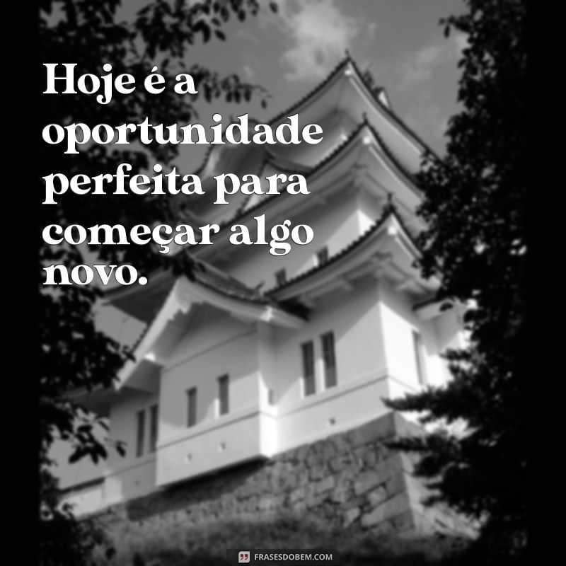 Frases Inspiradoras para Tornar Seu Dia Especial 