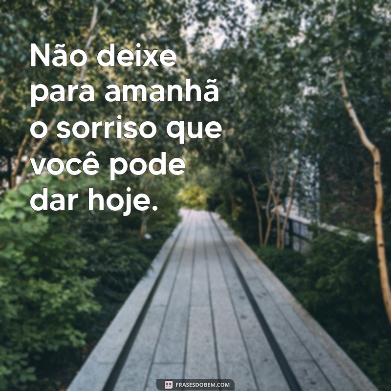 Frases de Bom Humor para Alegrar Seu Dia 