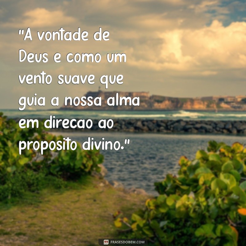 entender a vontade de deus frases 