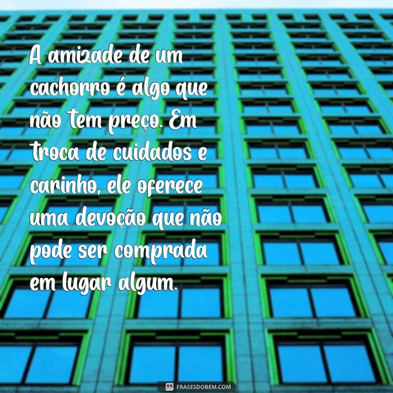 Curiosidades e Cuidados: Tudo Sobre Cachorros em um Pequeno Texto 